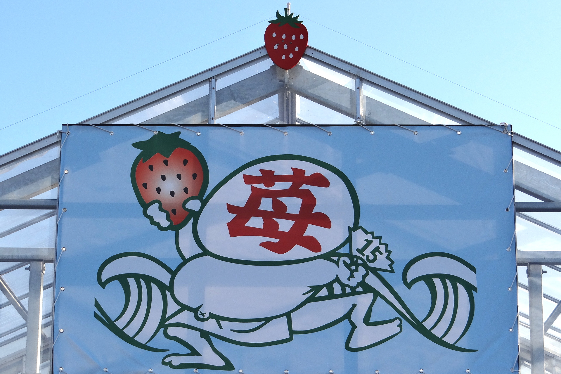 苺様ご確認ページ·͜· ⋆꙳ ミライフルーツ イチゴ【離乳食 ベビーフード】 【9ヶ月